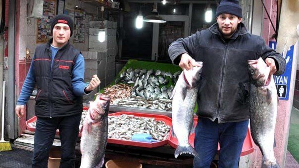 Kastamonu Ağlara Takılan 15 Kiloluk 3 Levreğin Şaşkınlığını Yaşıyor